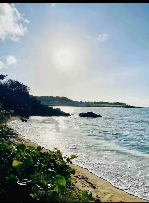 Natty'S Cozy Beach House In Hanover Jamaica Lucea